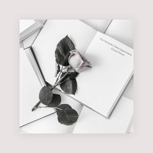 少妇被又大又粗进进出出A片
